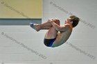 Swimming & Diving vs Babson  Swimming & Diving vs Babson College. - Photo by Keith Nordstrom : Wheaton, Swimming